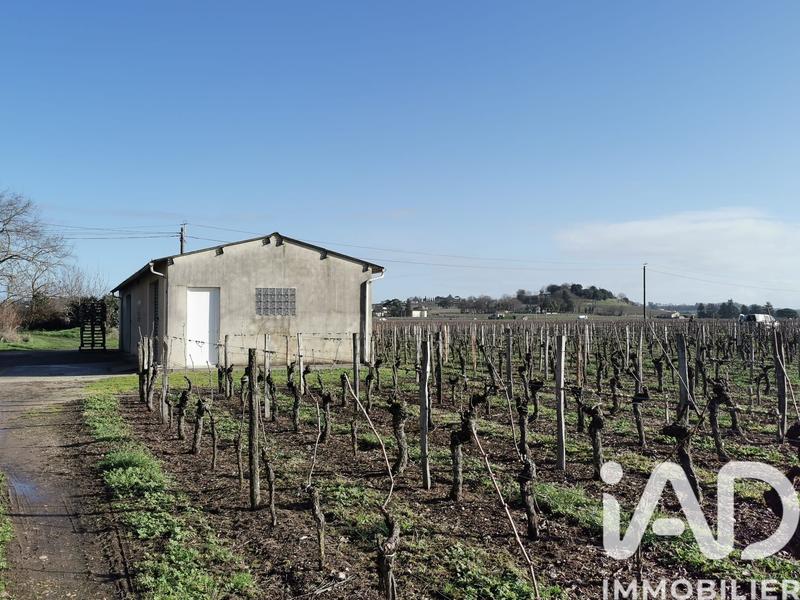 Château - 90 m² - 8 pièces