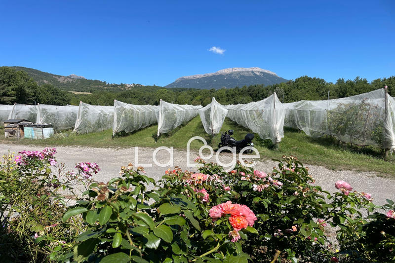 Maison - 224 m² - 7 pièces