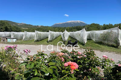 Maison - 224 m² - 7 pièces