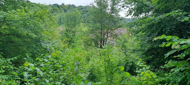 Terrain de loisirs - 586 m²