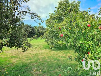 Maison - 167 m² - 7 pièces