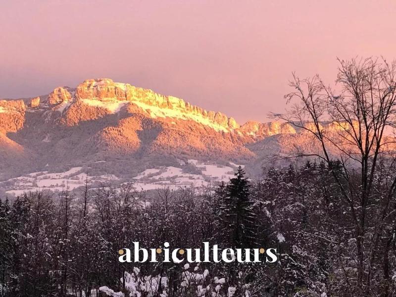 Corps de ferme - 433 m² - 16 pièces