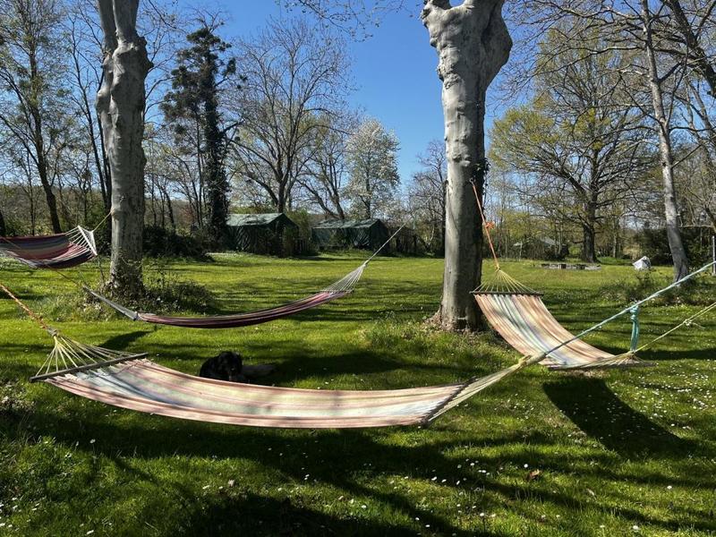 Propriété - 570 m² - 20 pièces