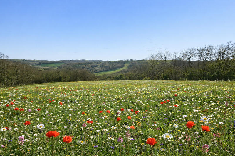 Terrain constructible - 9 886 m²