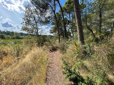 Terrain constructible - 1 396 m²