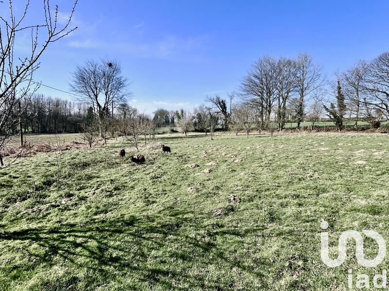 Maison - 127 m² - 4 pièces