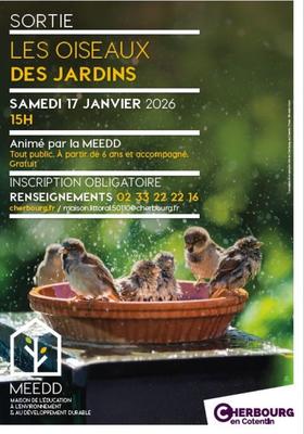 Sortie : les oiseaux les jardins