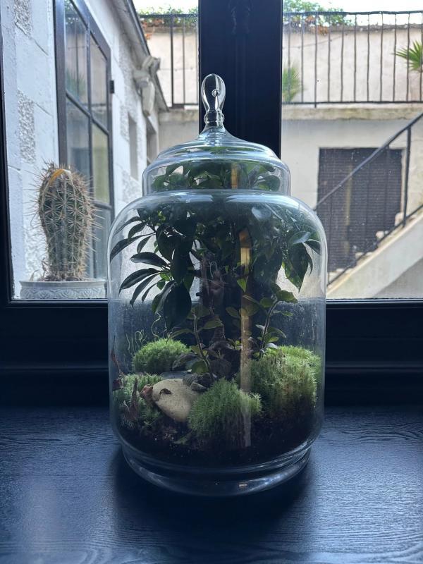 Propriété - 207 m² - 9 pièces