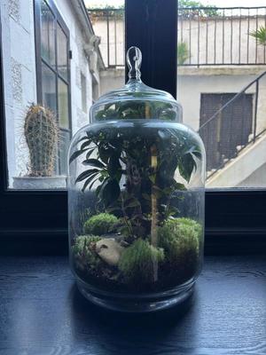 Propriété - 207 m² - 9 pièces