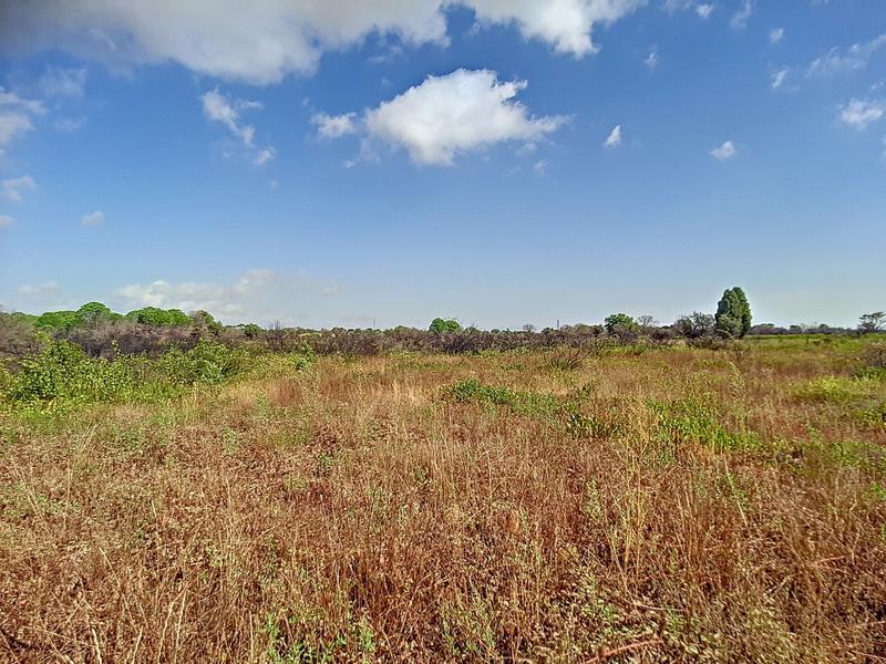 Terrain agricole - 1 453 m²