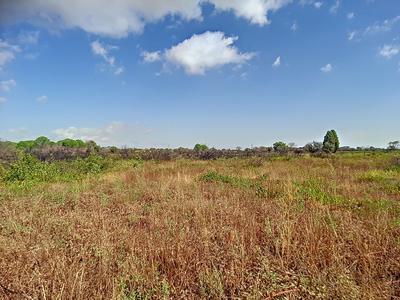 Terrain agricole - 1 453 m²