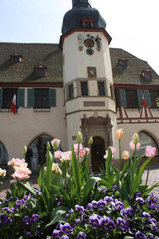 Visite guidée de l'Hôtel de Ville, Laube et Jacquemart - Jep