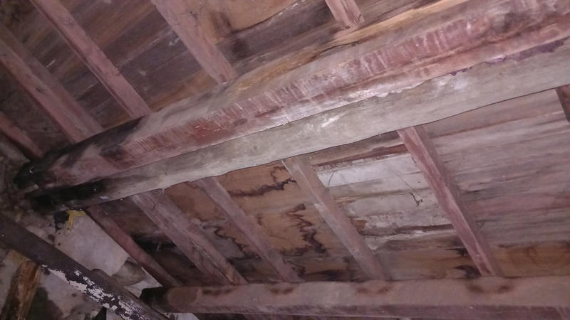 Terrain de loisirs - 31 439 m²