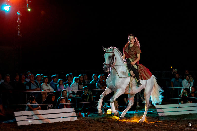 Spectacles équestres