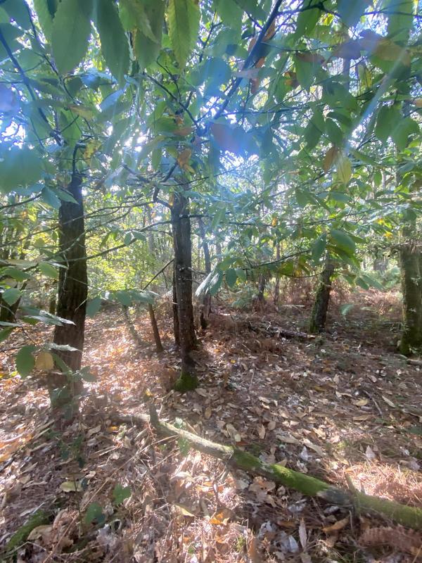 Terrain agricole - 2 890 m²