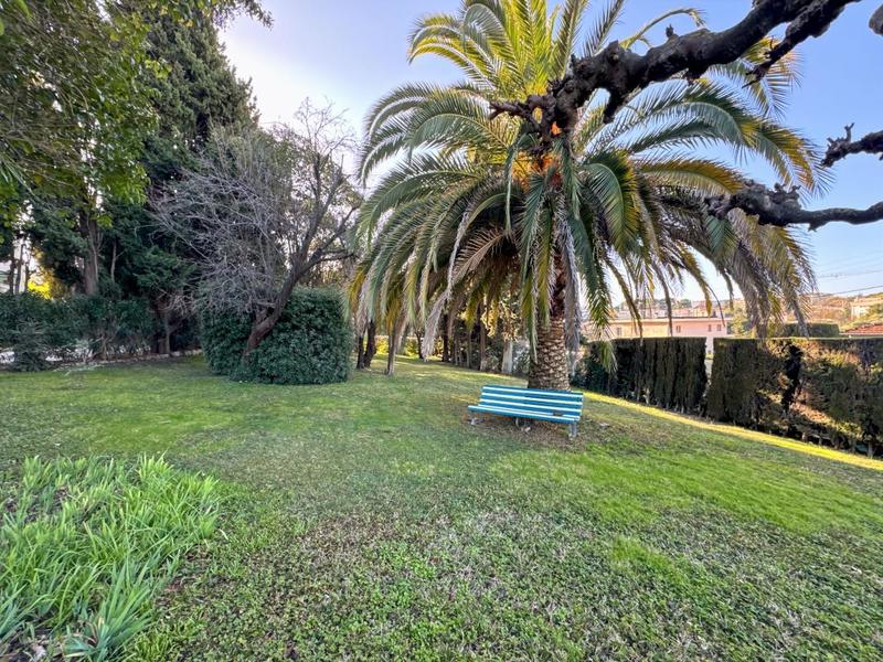 Studio - 30 m² - 1 pièce