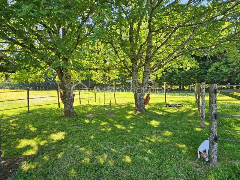 Propriété - 266 m² - 12 pièces