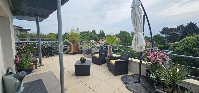 Appartement - 49 m² - 2 pièces