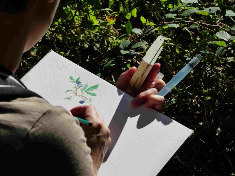 Initiation aquarelle au printemps