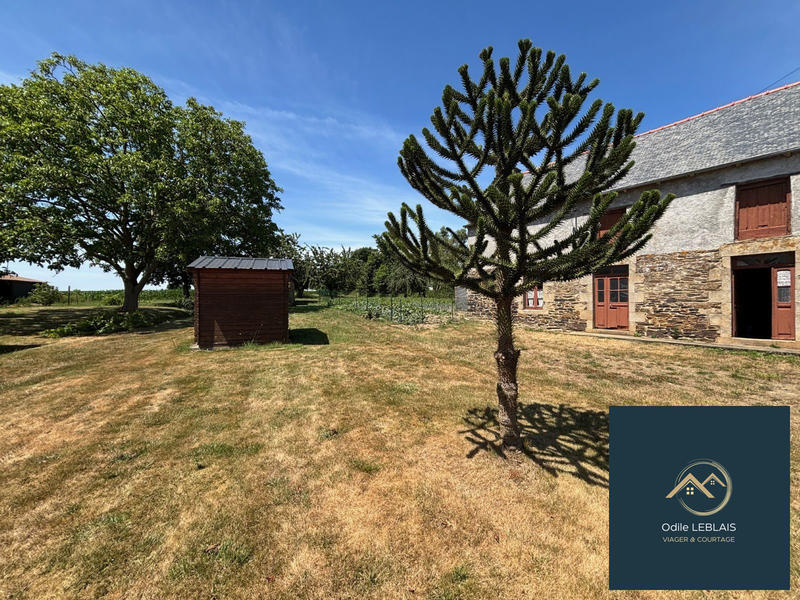 Viager - Ferme - 1 m² - 1 pièce