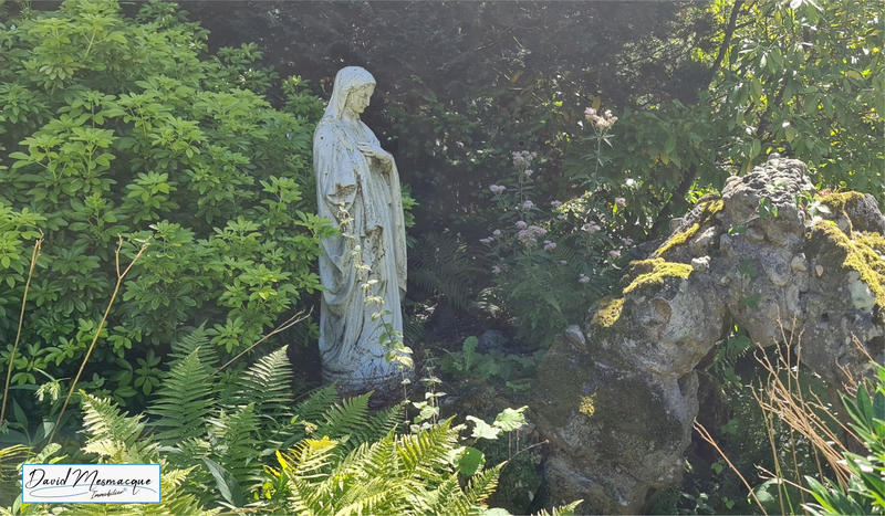 Propriété - 388 m² - 11 pièces