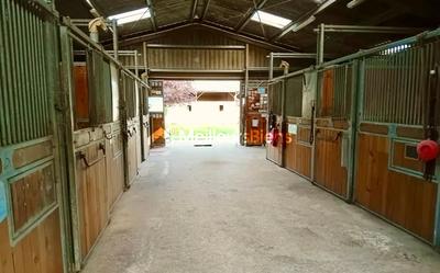 Local d'activité / Entrepôt - 240 m² - 7 pièces