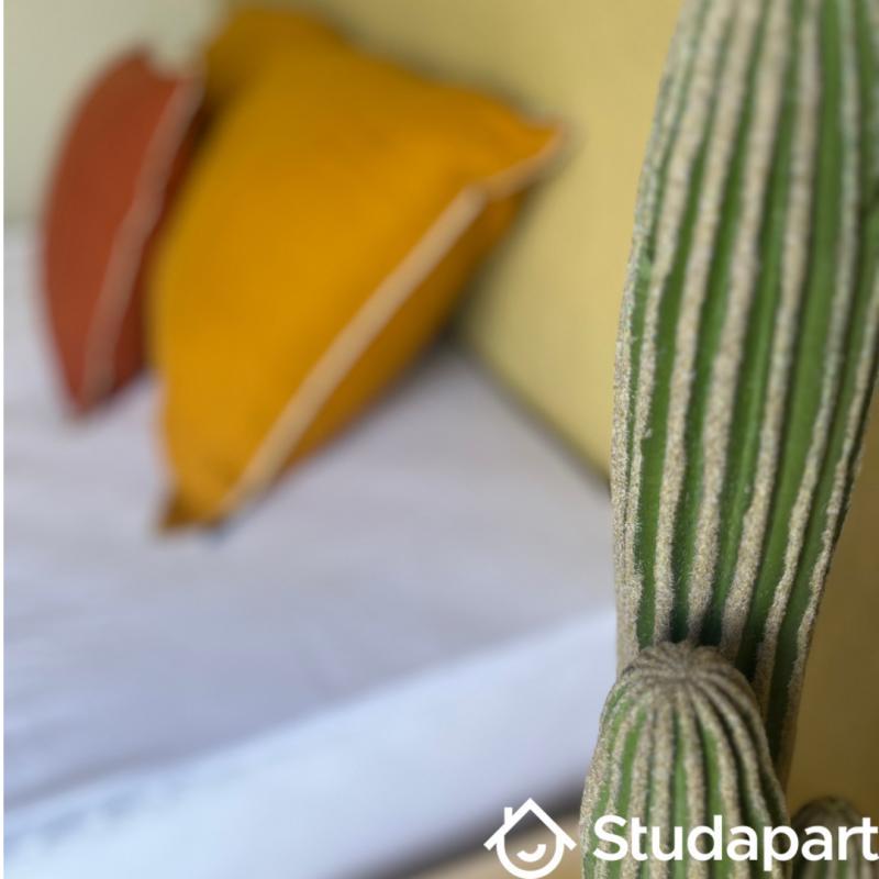 Chambre - 13 m² - 1 pièce