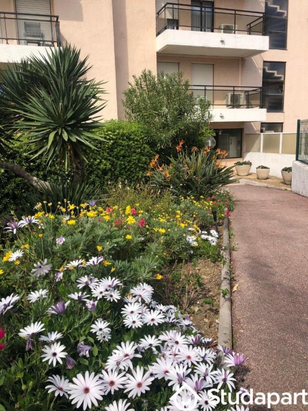 Appartement - 28 m² - 1 pièce