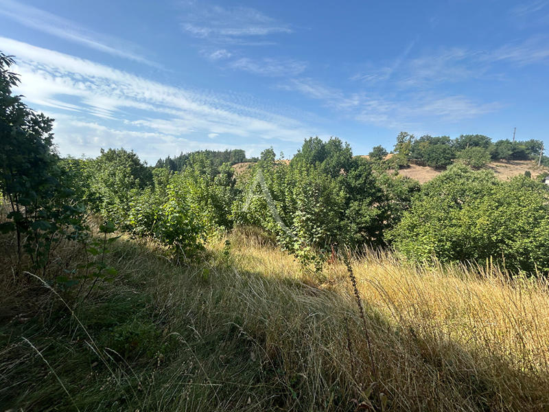 Terrain de loisirs - 2 498 m²