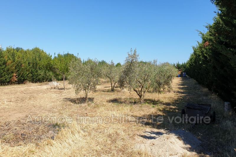 Terrain agricole - 3 130 m²
