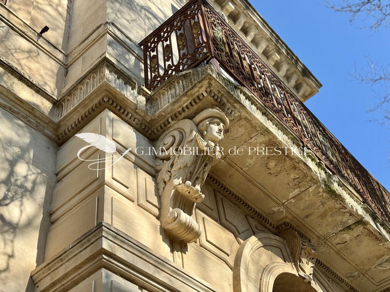 Château - 600 m² - 10 pièces