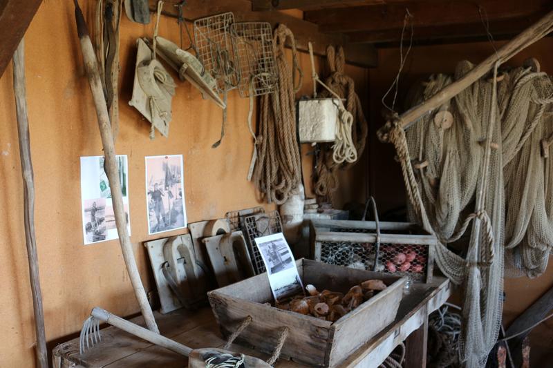 Secrets du Bassin : l'ostréiculture pour tous