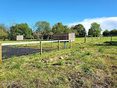 Terrain - 12 784 m²