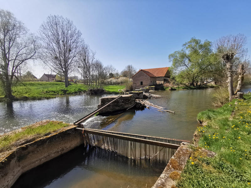 Château - 442 m² - 24 pièces