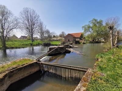 Château - 442 m² - 24 pièces