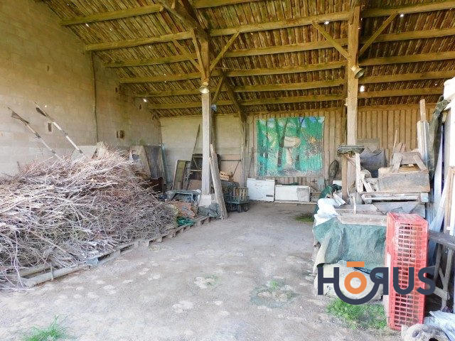 Viager - Maison ancienne - 210 m² - 4 pièces