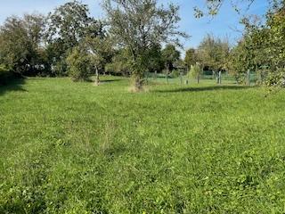Terrain constructible - 1 895 m²