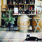 Domaine de l'Epineau