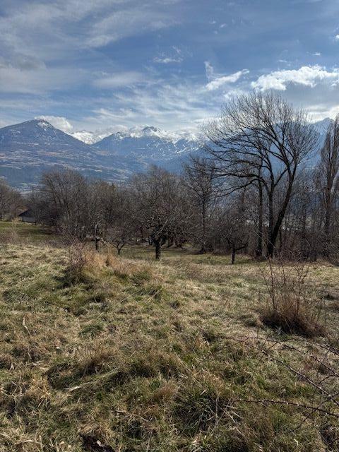 Terrain constructible - 535 m²