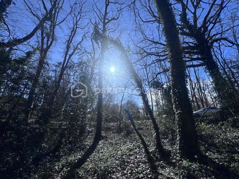 Terrain de golf - 3 600 m²