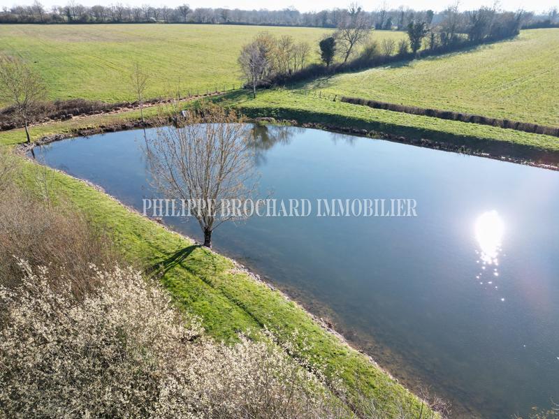 Terrain de loisirs - 6 000 m²