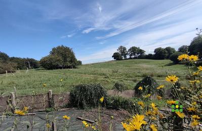 Maison - 81 m² - 4 pièces