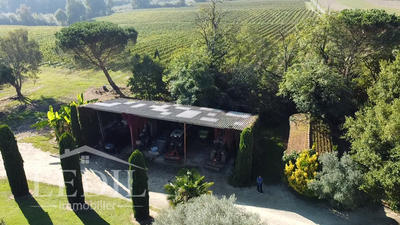 Propriété viticole - 180 m² - 5 pièces