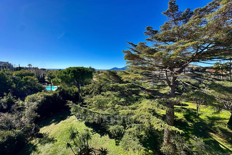 Appartement - 95 m² - 3 pièces