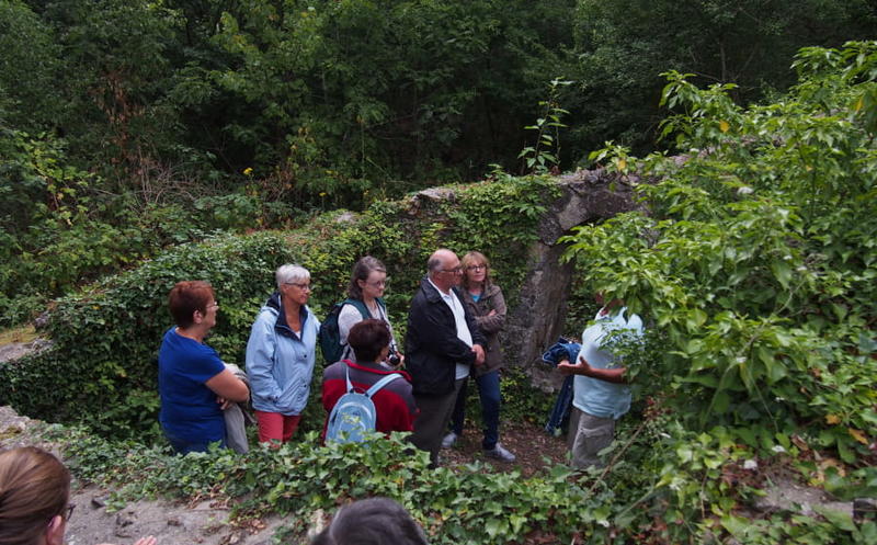 Le château de la Robertière : un géant oublié de la forêt
