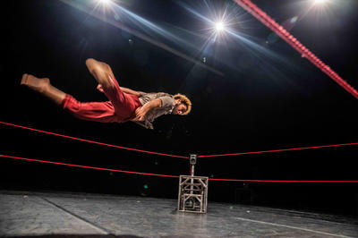 Festival Compli'Cité - Bestiaire