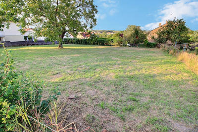 Terrain - 735 m²