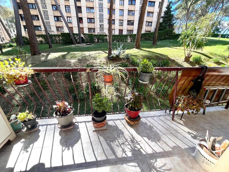 Appartement - 51 m² - 3 pièces