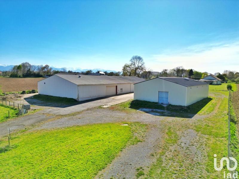 Local commercial - 1 234 m²