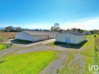 Local commercial - 1 234 m²